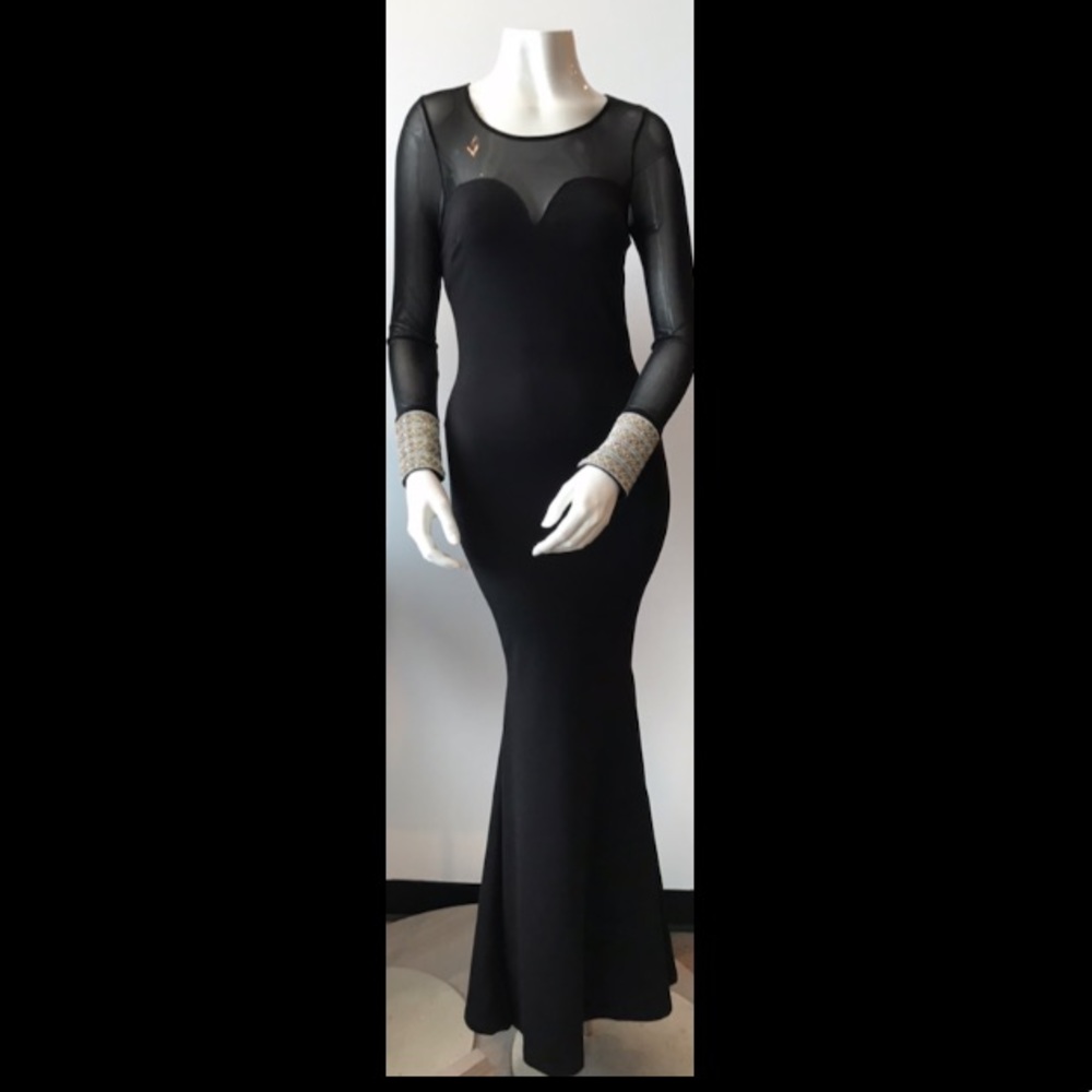 LONG Sleeve, Sheer Black Dress